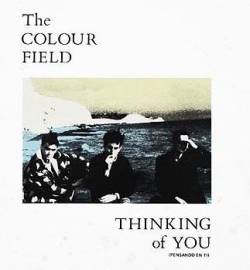 The Colourfield : Thinking of You